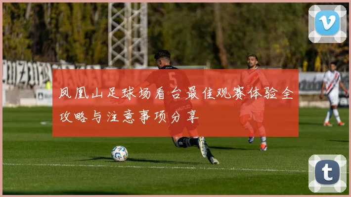 凤凰山足球场看台最佳观赛体验全攻略与注意事项分享