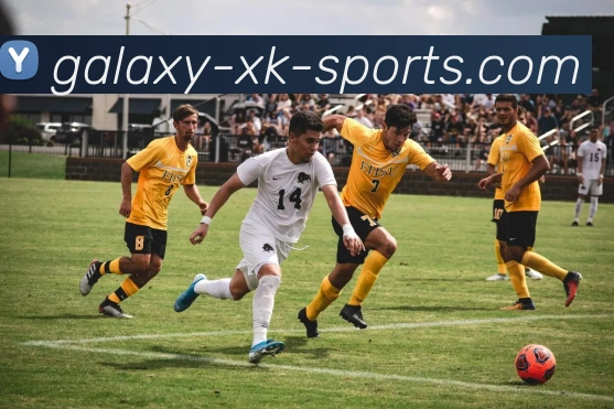 多媒体互动体验